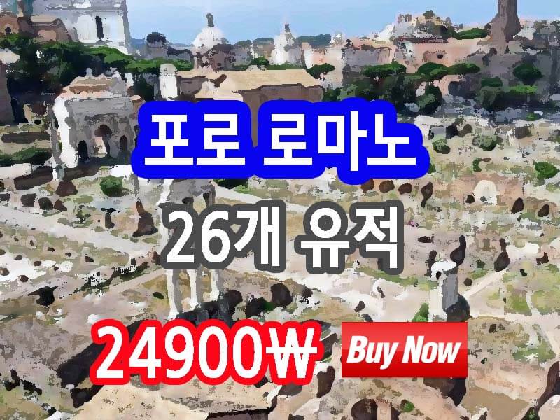 포로 로마노 구매 링크