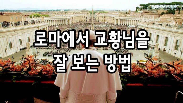 로마에서 교황님을 보는 방법