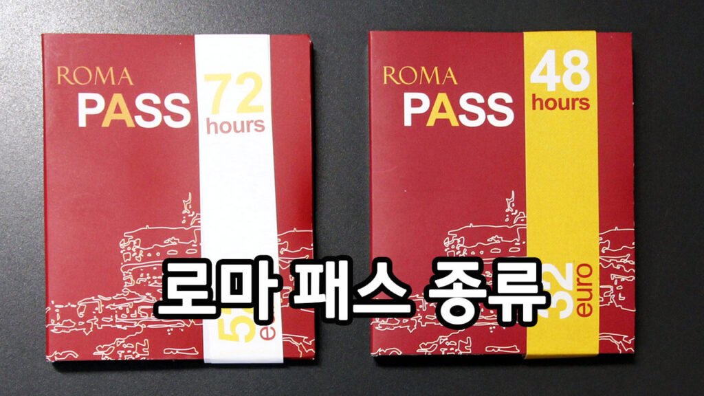 로마 패스 종류